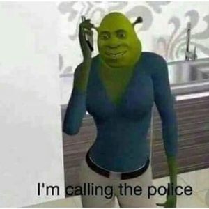 Meet your Posher, Averry